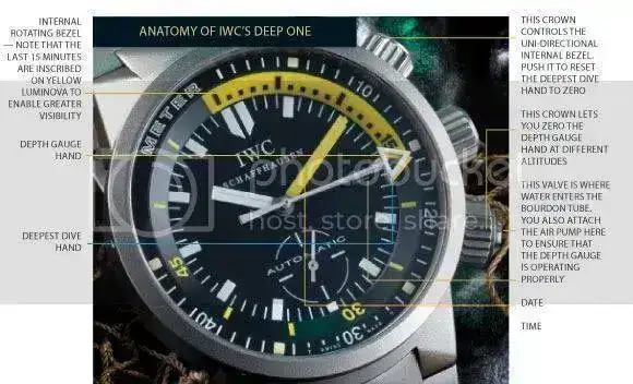 deep_one_anatomy.webp
