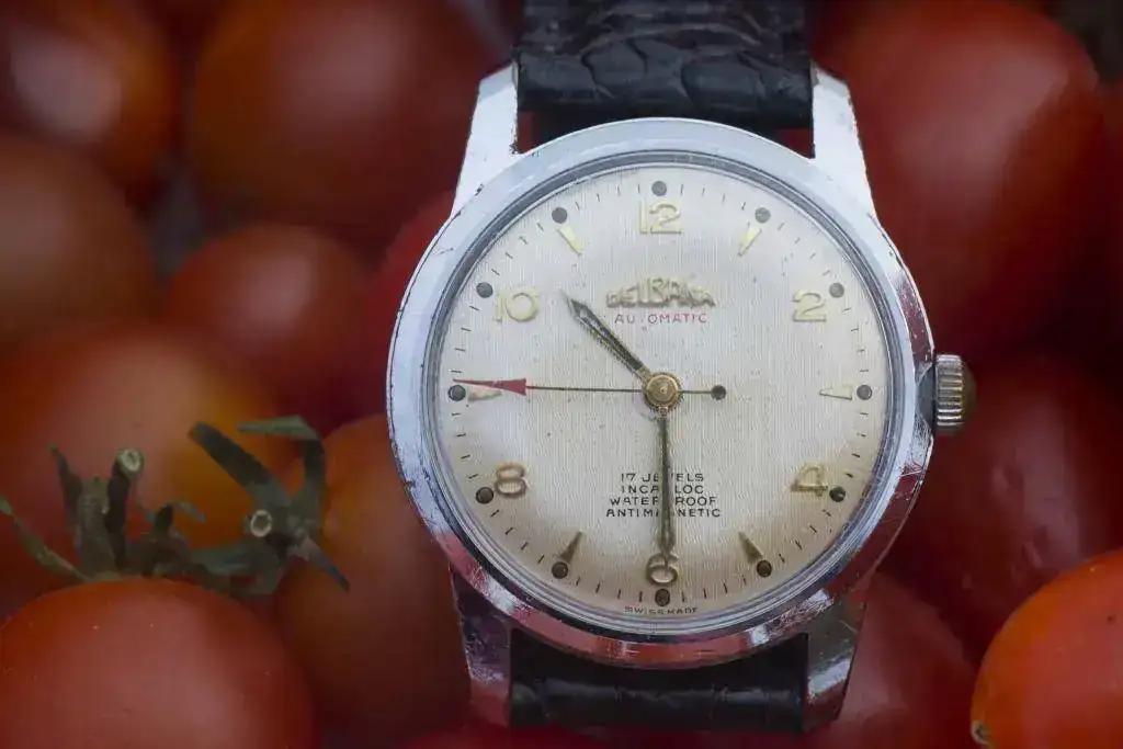 Delbana 690_IUG6136.webp