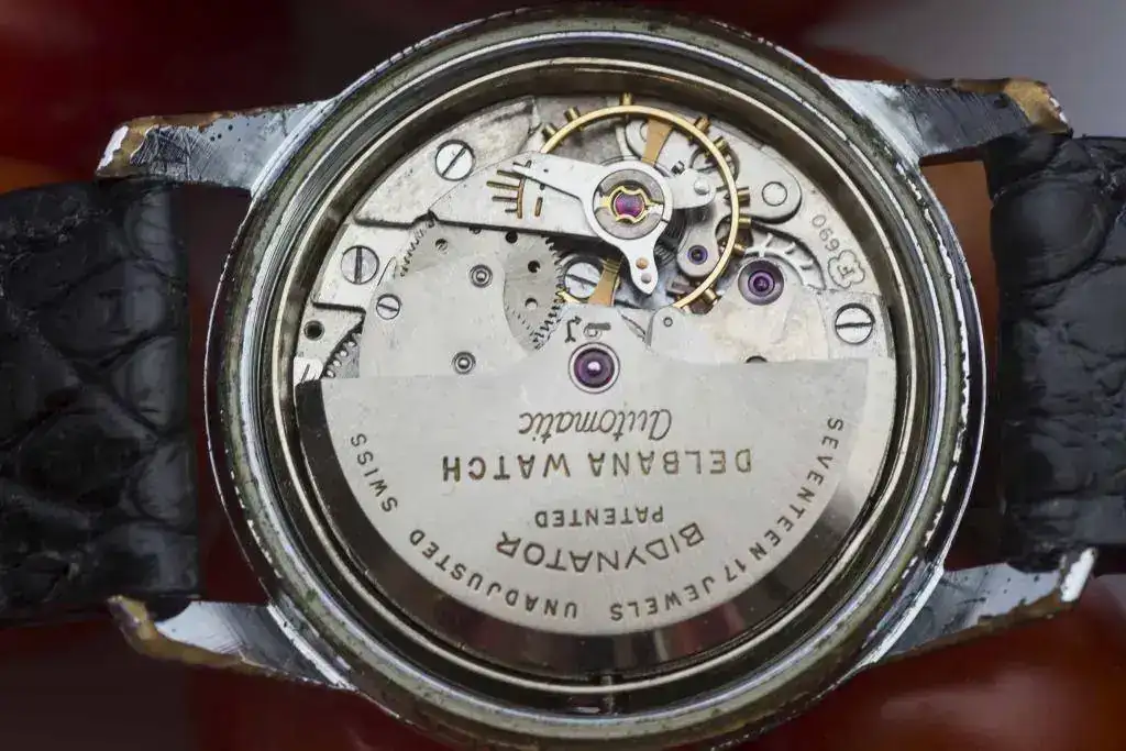 Delbana 690_IUG6242.webp