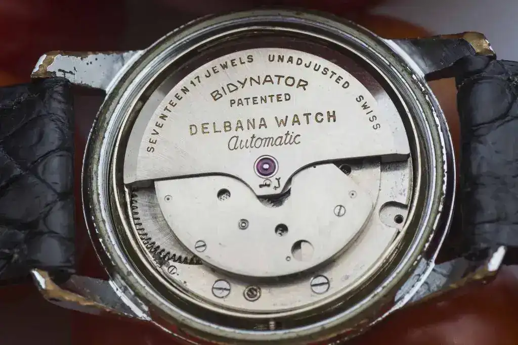 Delbana 690_IUG6243.webp