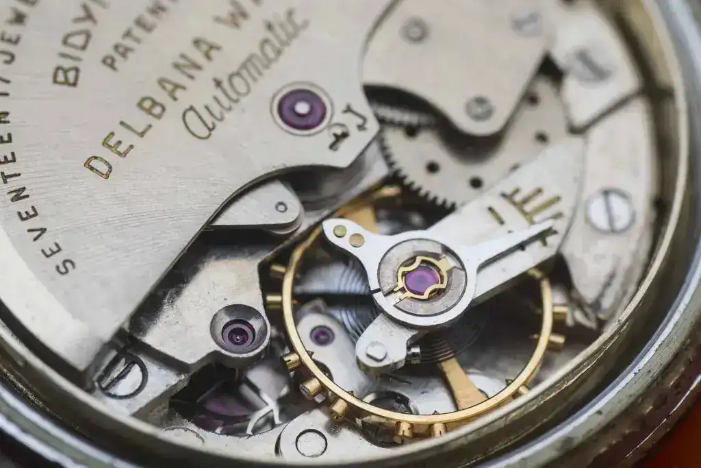 Delbana 690_IUG6245.webp