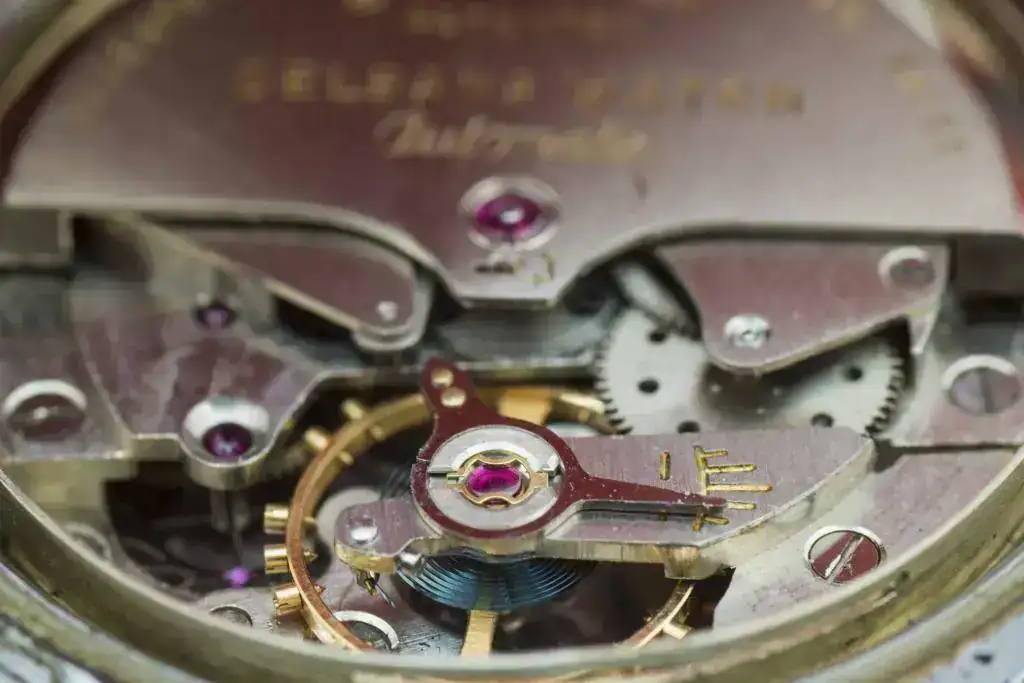 Delbana 690_IUG6246.webp