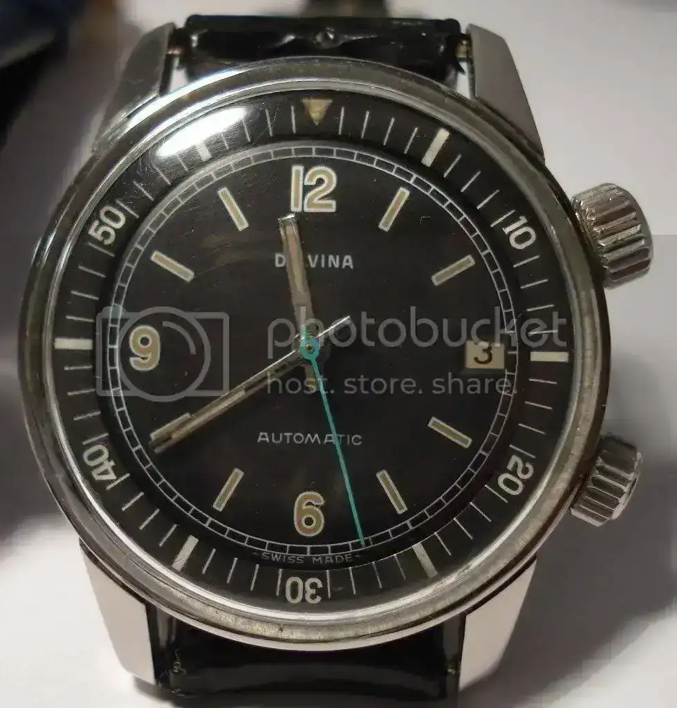 delvina_SUPER_Comp_auto_polaris.webp