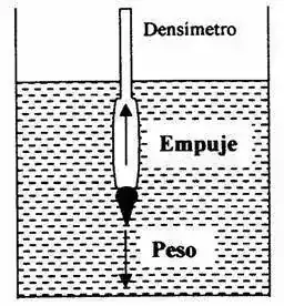 densimetro.webp