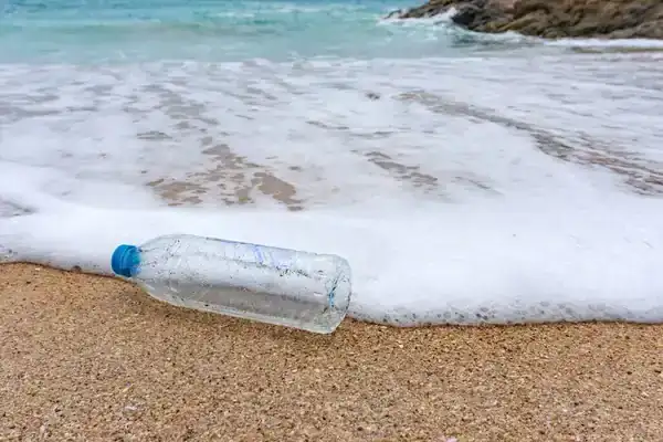 depositphotos_421966532-stock-photo-plastic-bottle-waste-environmental-pollution.webp