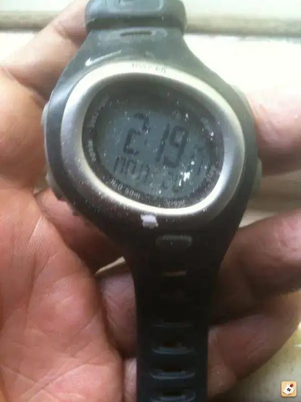 derybahe.webp