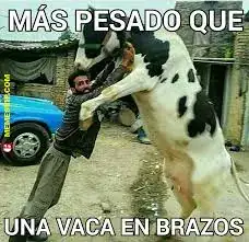 descarga (1).jpeg