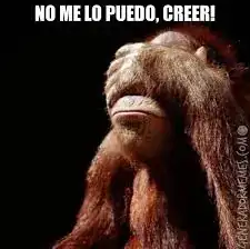 descarga - 2021-01-01T003536.372.webp
