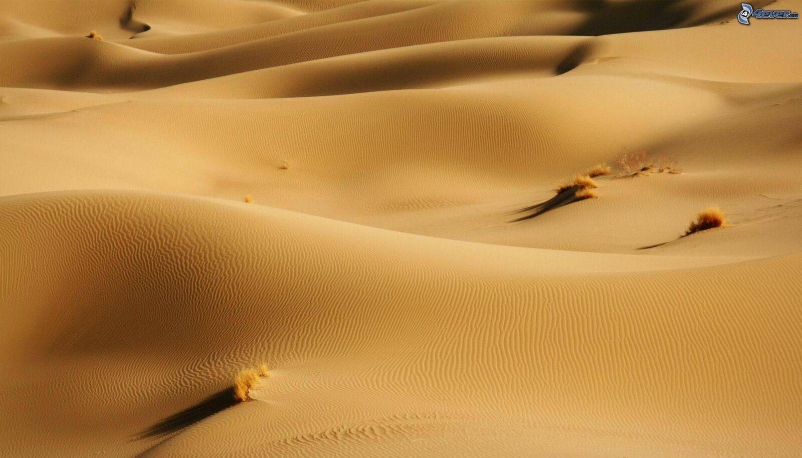 desierto,-arena-195510.jpg
