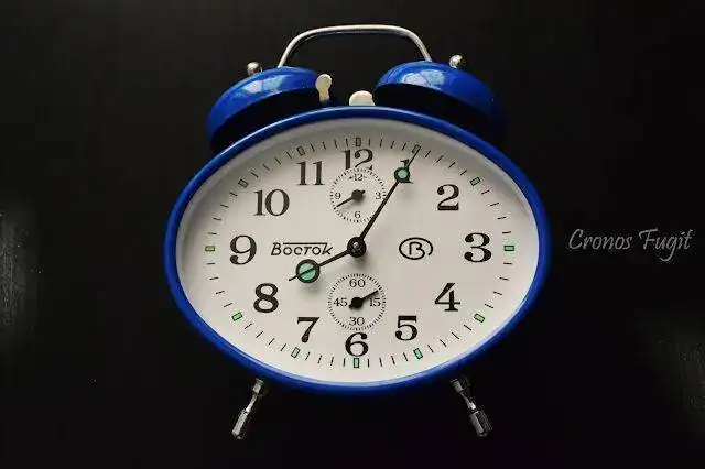 despc.webp