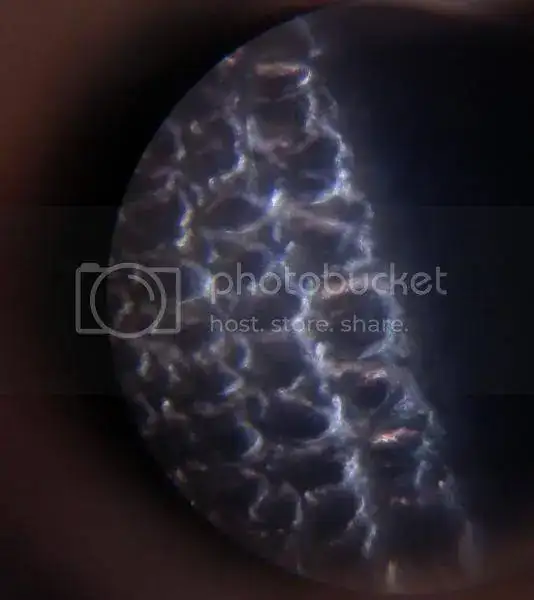 detailmmsd6.webp