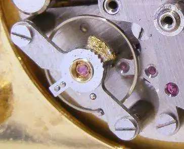 detalle-1.webp