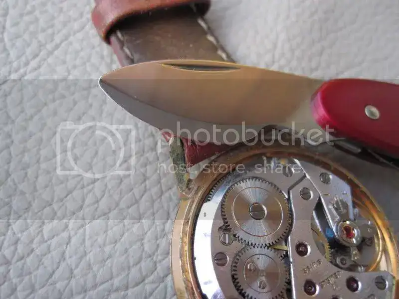 DetalleWengerrelojero.webp