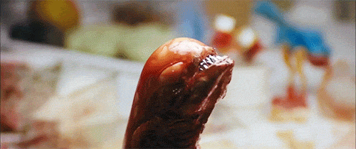 df5d44012d919e9121119dfb54dc5f17.gif