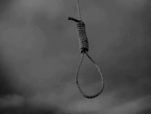 DF6-FB949-A203-46-FE-91-CE-1-A33-F1-D0-F1-D9.gif