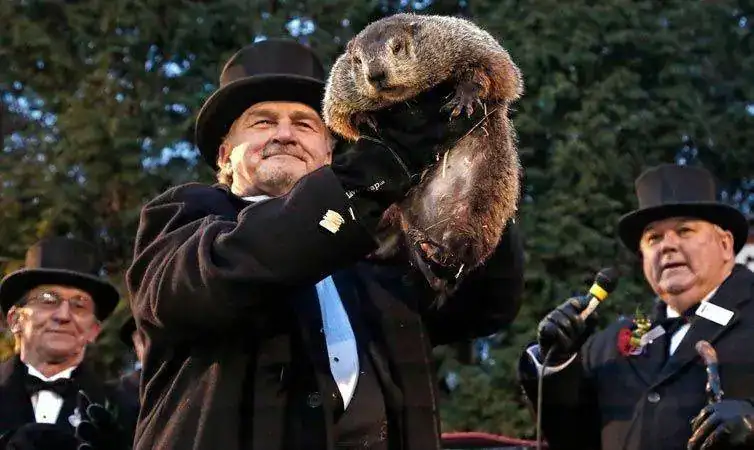 Dia_marmota.webp