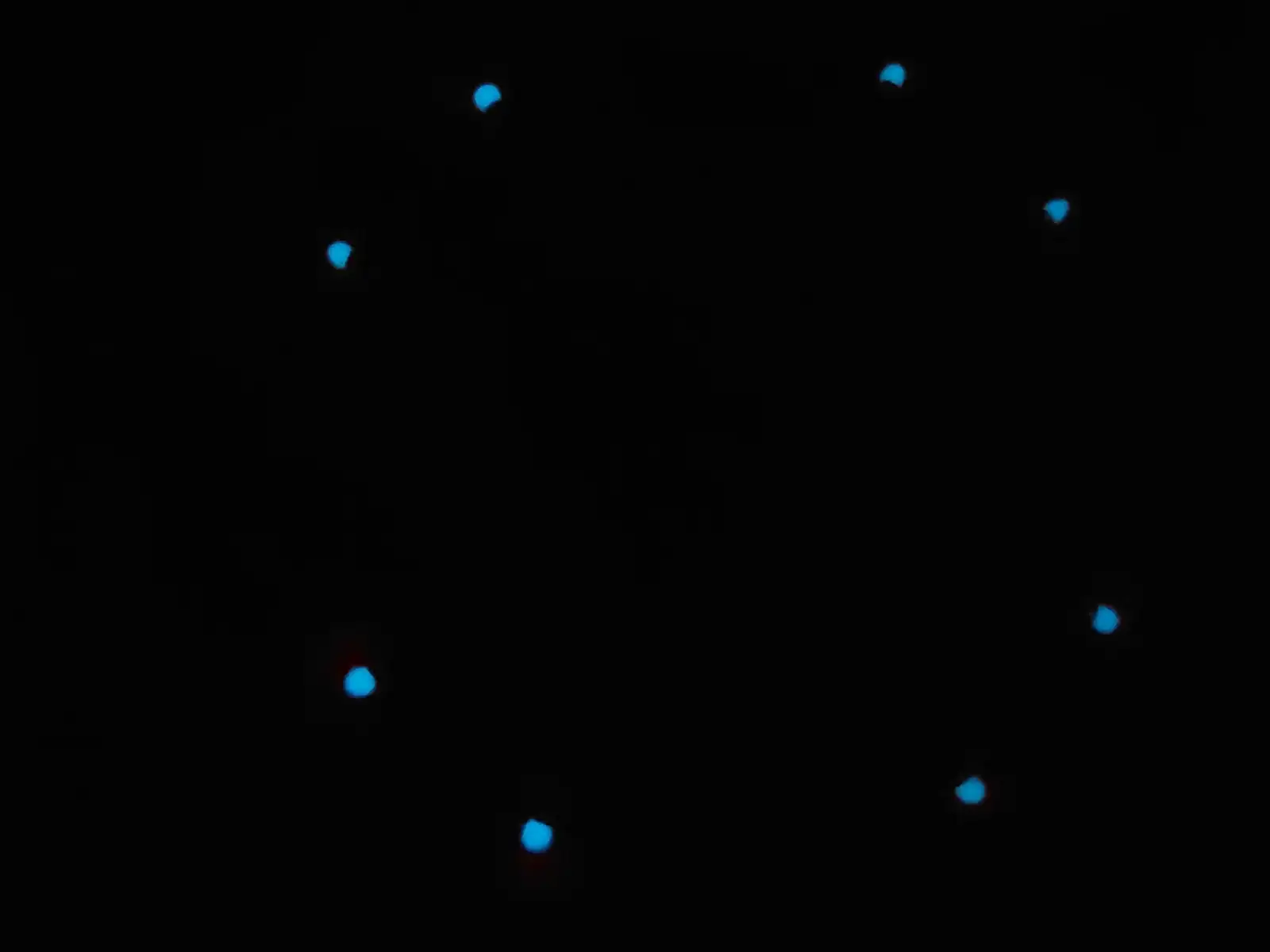 DialNuevo02_lumenbrillando.webp