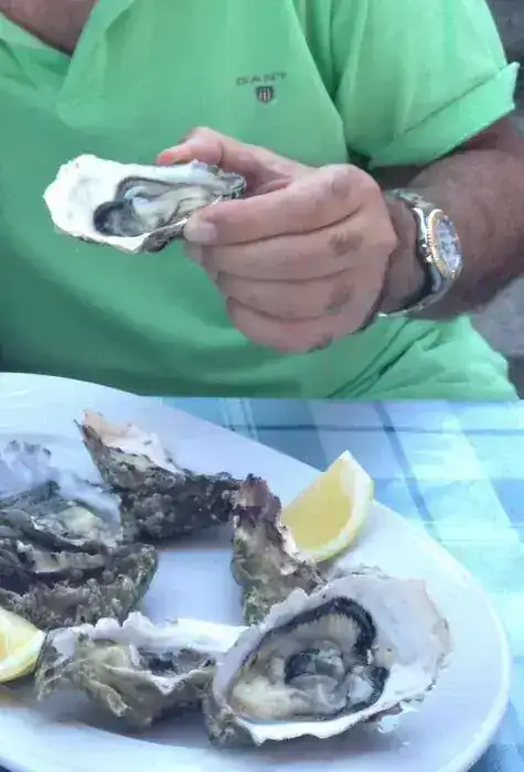 dieta mediterranea 2.webp