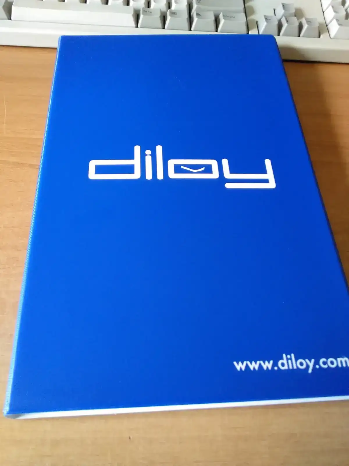 Diloy (1).webp