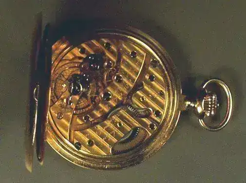 Ditisheimmaquina.webp