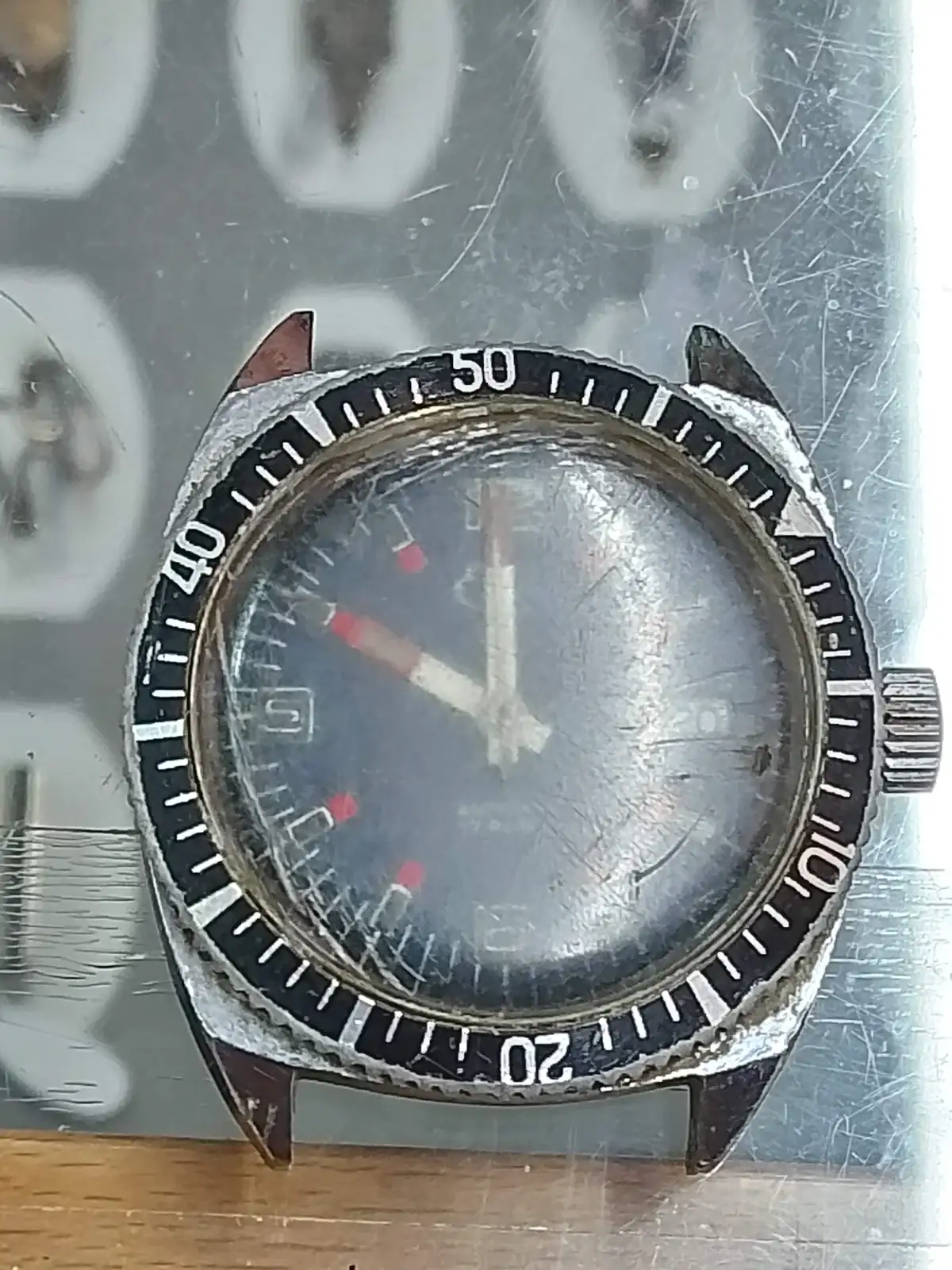 diver nuevo 23 sep.webp