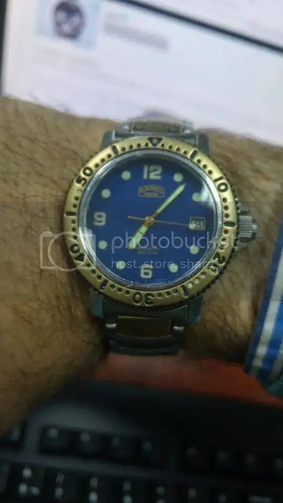 DiverHolland_zps2op20ude.webp