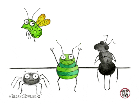 Divertidos GiFs.gif