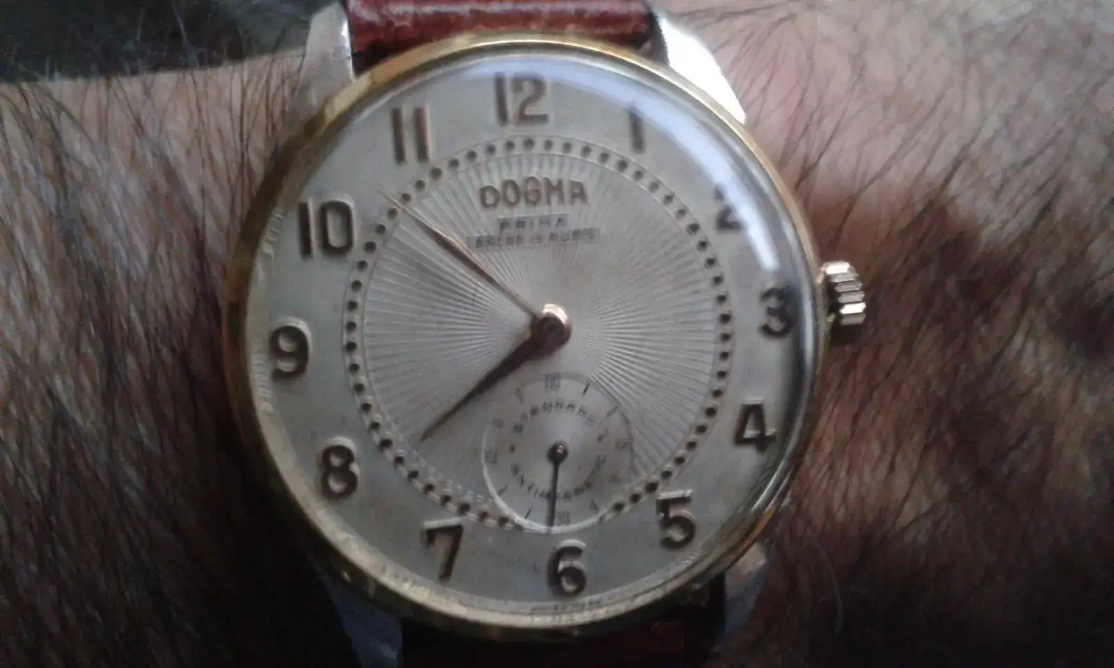 DOGMA PRIMA 15 RUBIS AMB AS 1130.webp
