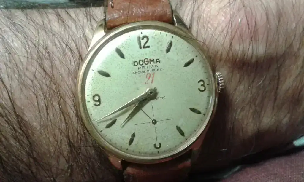 DOGMA PRIMA 21 RUBIS.webp