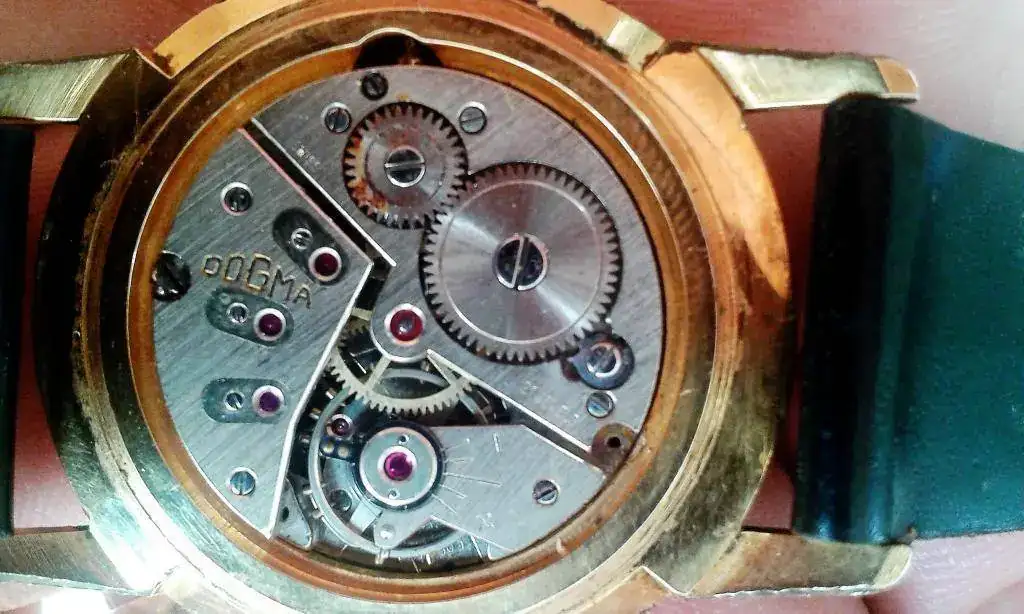 DOGMA PRIMA AMB FEF 290.webp