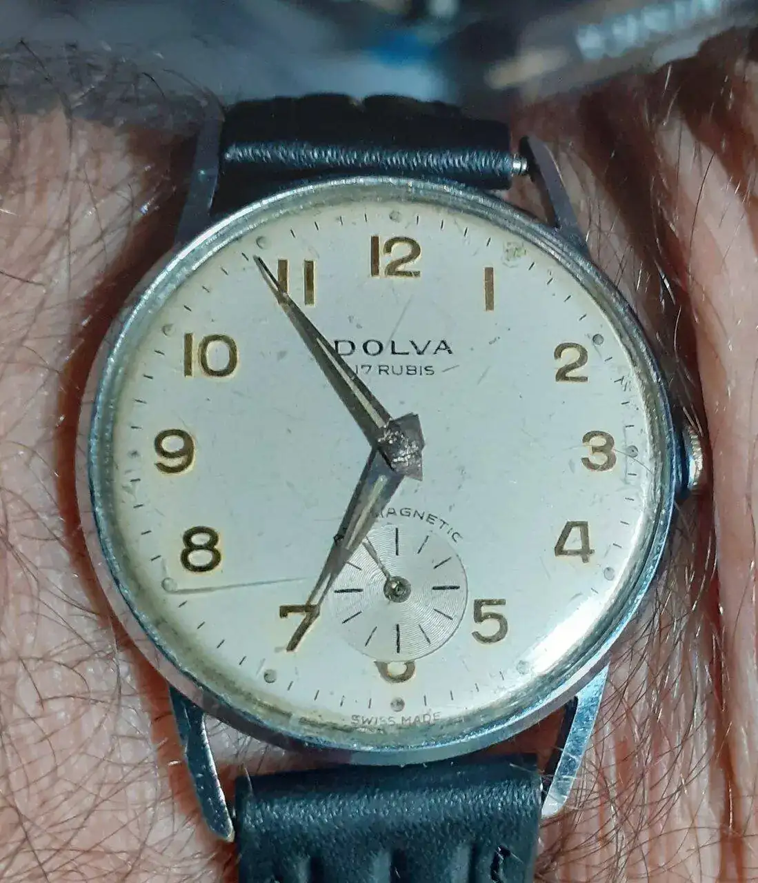 dolva 14.webp