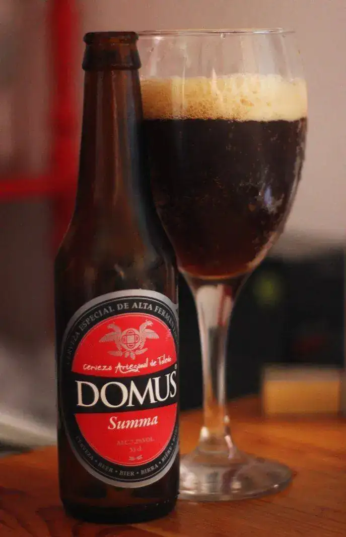 Domus+Summa.webp