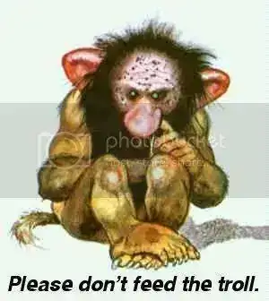 DontFeedTheTroll.webp