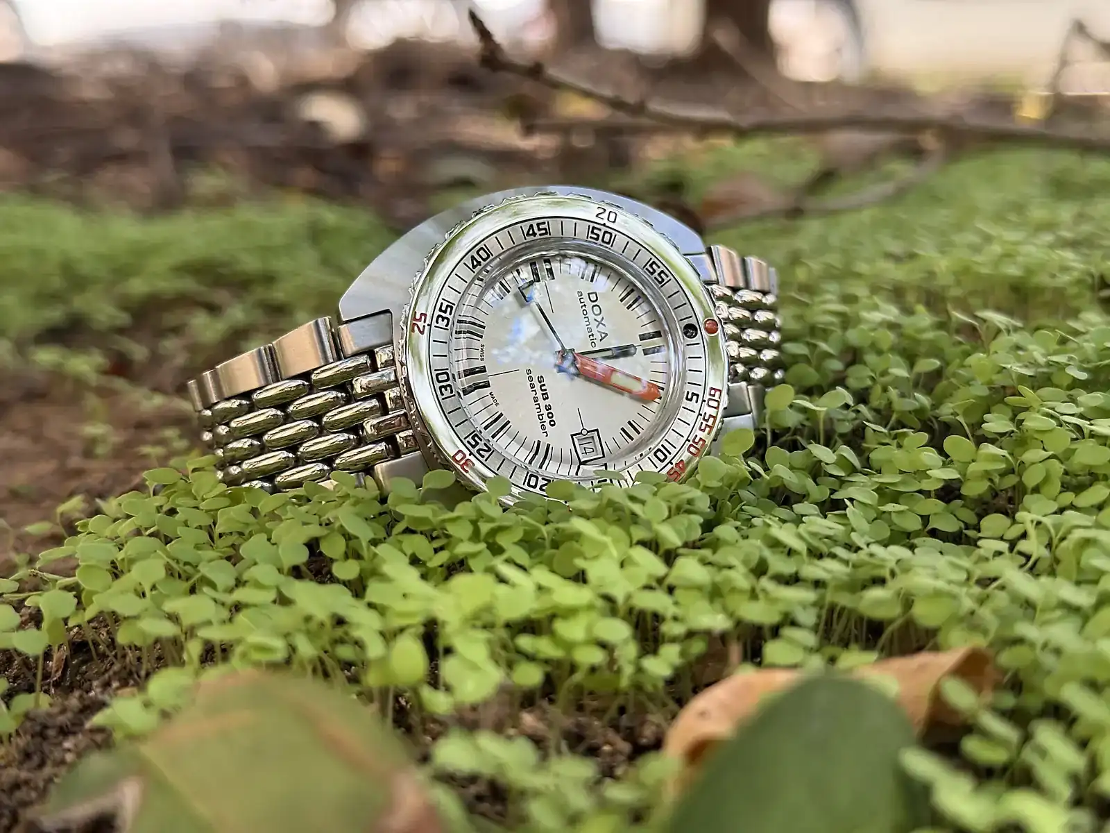 doxa.webp