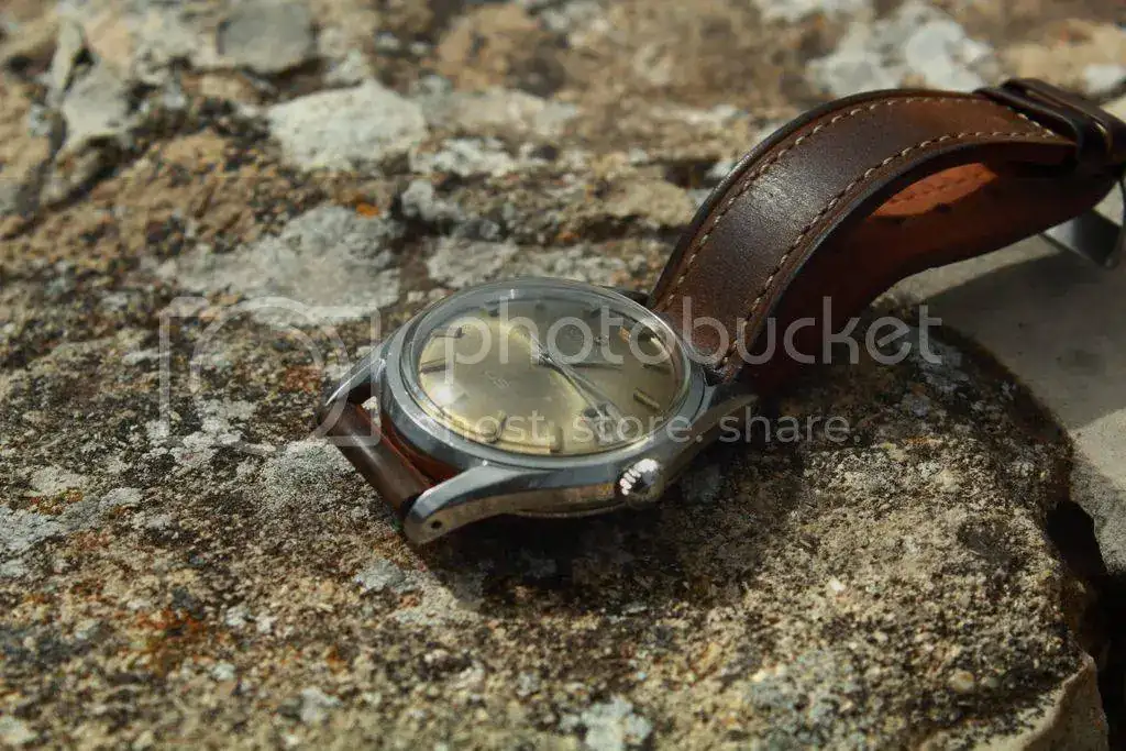 DPP_0056_zpscs1tqq3z.webp