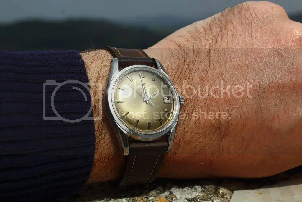 DPP_0060_zps3tbj4cqq.webp