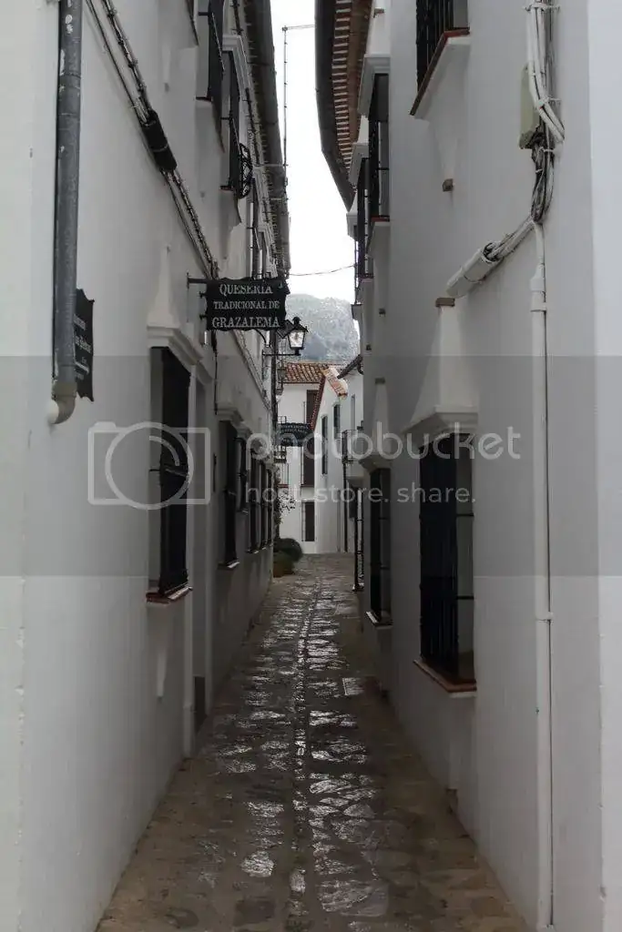 DPP_0061_zpsbwn0iwea.webp