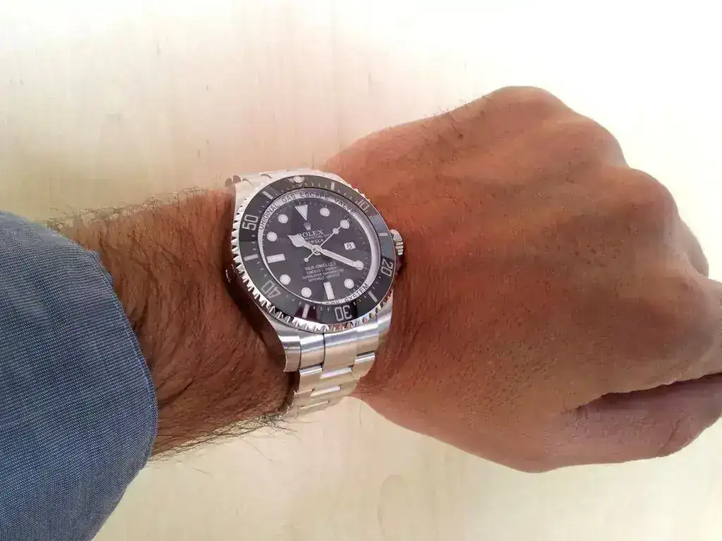 ds116660ws1.webp