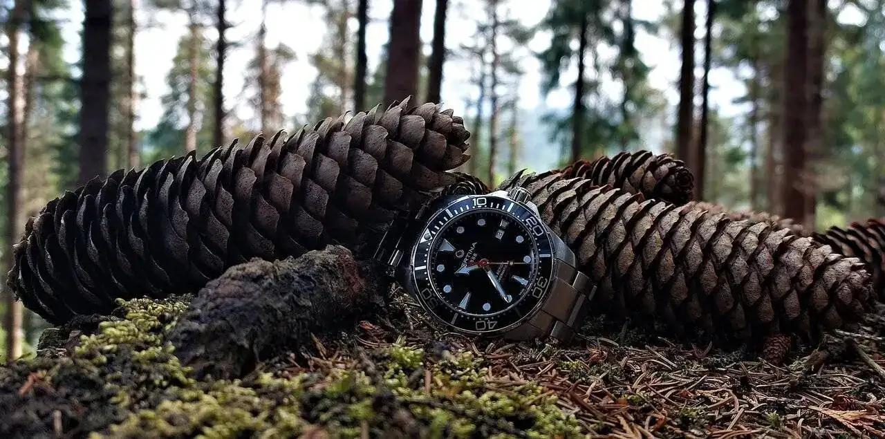 DSA20220909_103525.webp