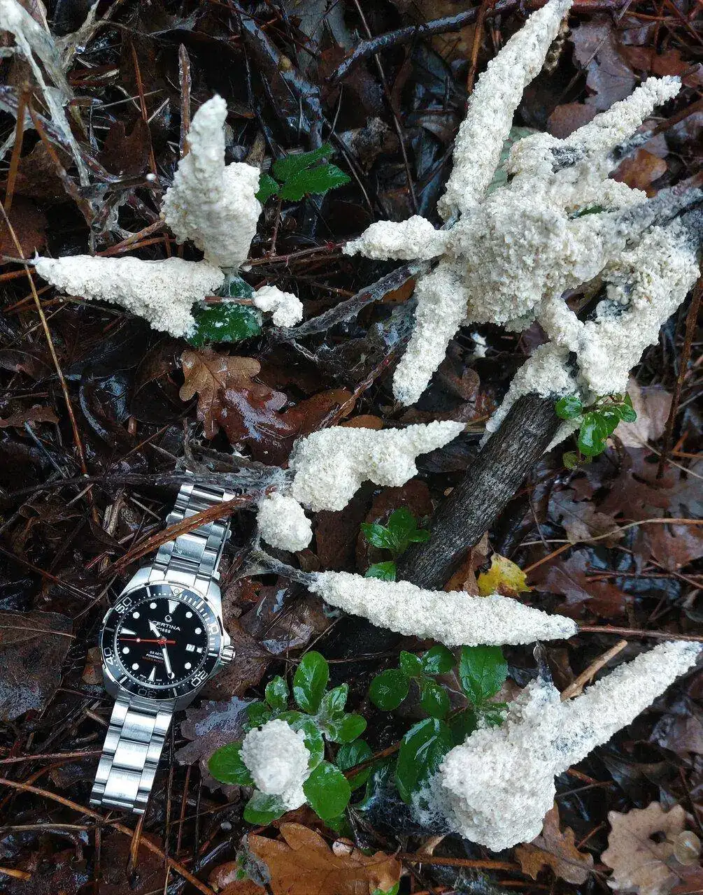 DSA20221208_102444.webp