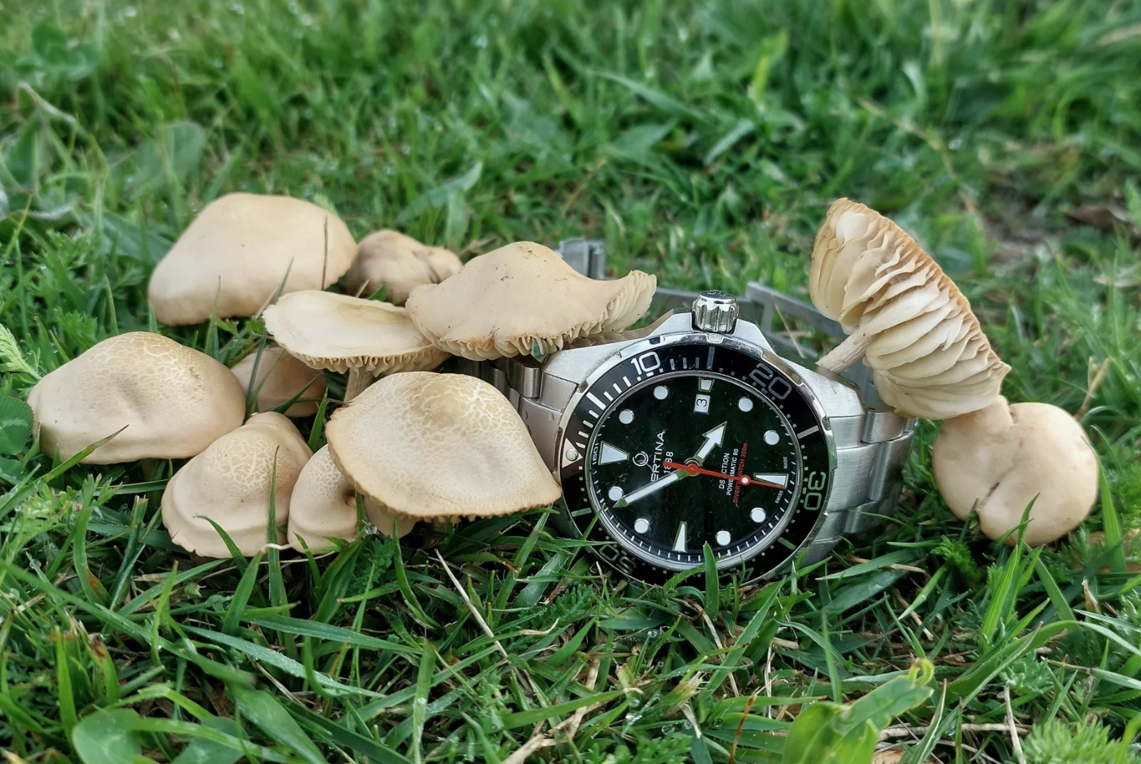 DSA20250508_095557.webp
