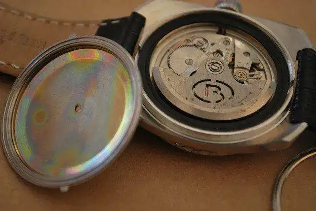 DSC-2571.webp