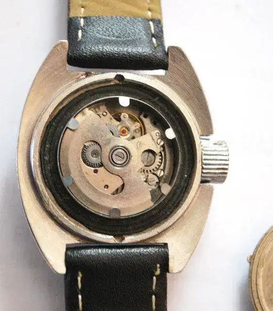 DSC-2680.webp