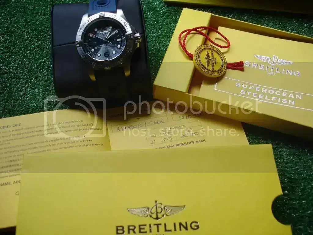 DSC00007_zps3825731e.webp