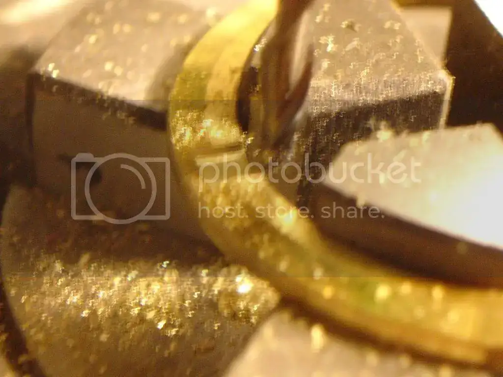 DSC00022_zps49bf0425.webp
