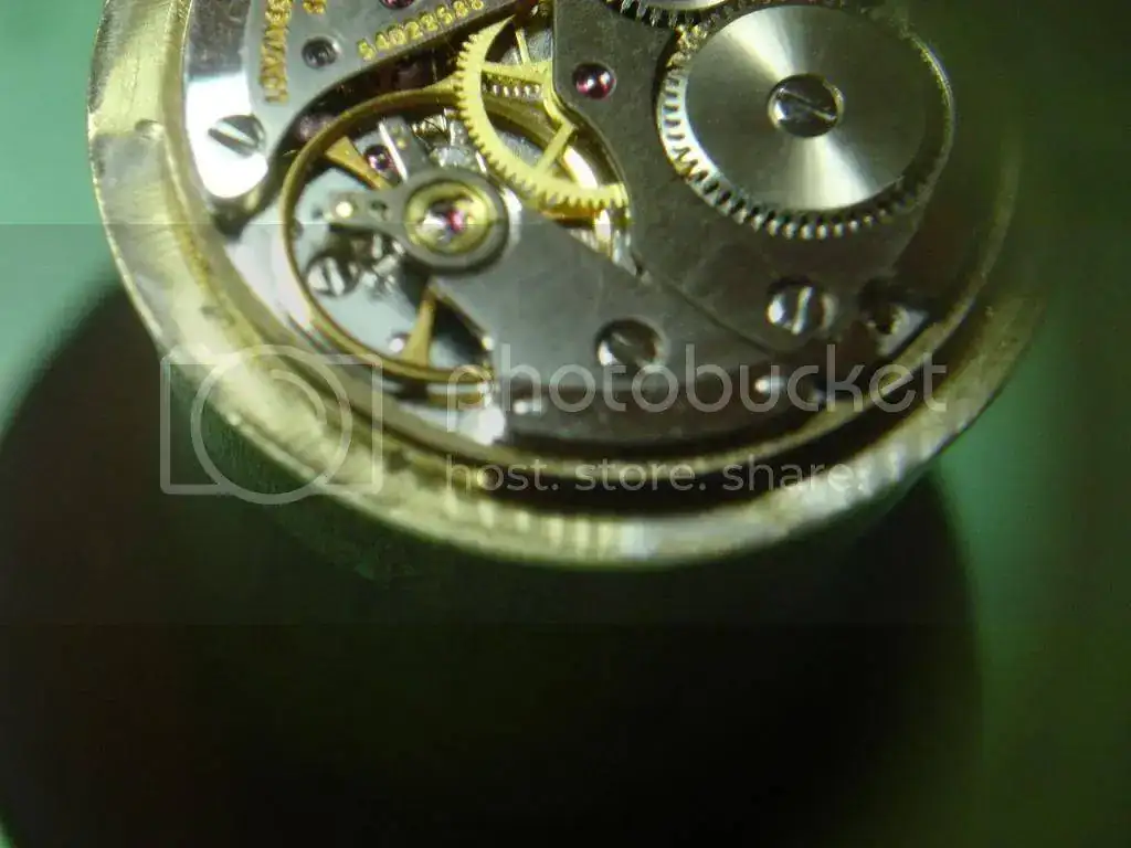 DSC00040_zps538c38a2.webp