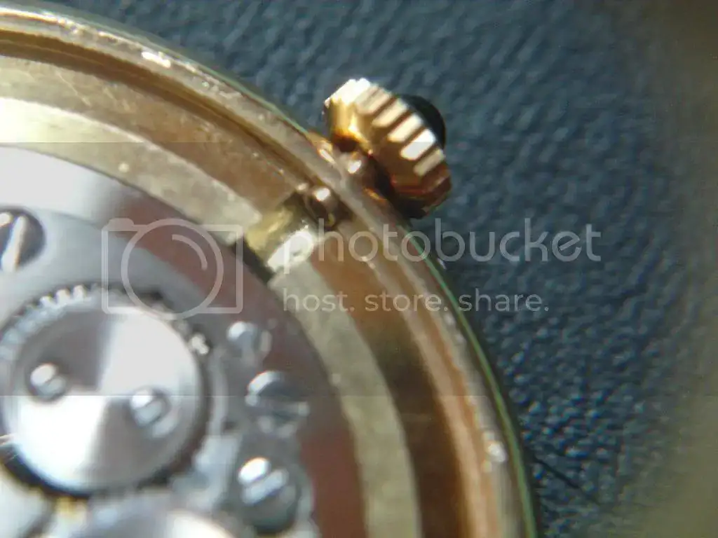 DSC00059_zps54f18e39.webp