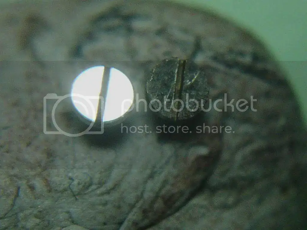 DSC00070_zps679cfbea.webp