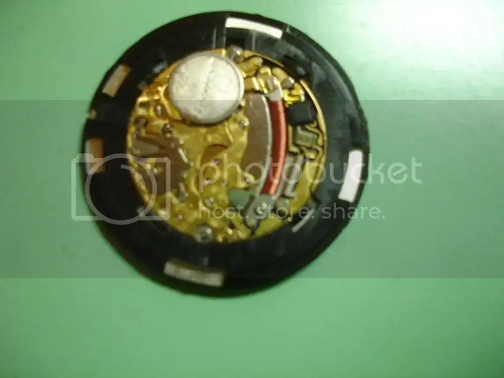 DSC00074_zpseefd0a79.webp