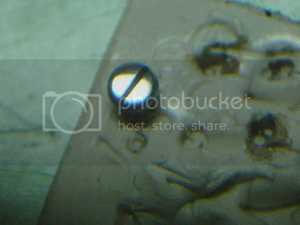 DSC00075_zps2e9d3fb0.webp
